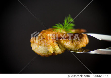 a piece of fried chicken fillet with spices a piece of fried chicken fillet with spices 90664163