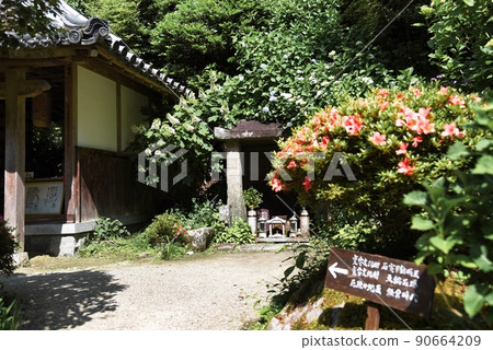 Gansenji Temple_Stone Room and Azalea Gansenji Temple_Stone Room and Azalea 90664209