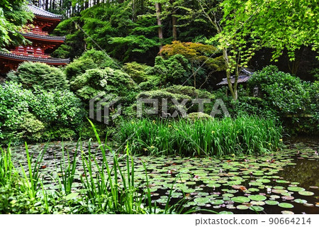 Gansenji Temple_three-storied pagoda, pond, shrine, and trees Gansenji Temple_three-storied pagoda, pond, shrine, and trees 90664214