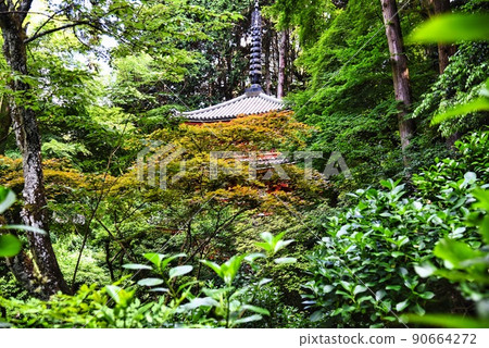 甘仙寺_樹下掩映的三層寶塔 甘仙寺_樹下掩映的三層寶塔 90664272