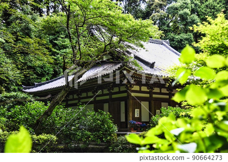 Gansenji _ Hall from between trees Gansenji _ Hall from between trees 90664273