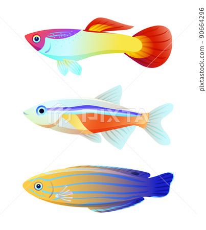Aquarium fish silhouette isolated on white icons Aquarium fish silhouette isolated on white icons 90664296