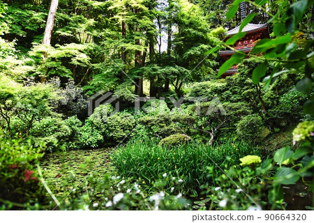 Gansenji Temple_Three-story pagoda between the pond and trees Gansenji Temple_Three-story pagoda between the pond and trees 90664320