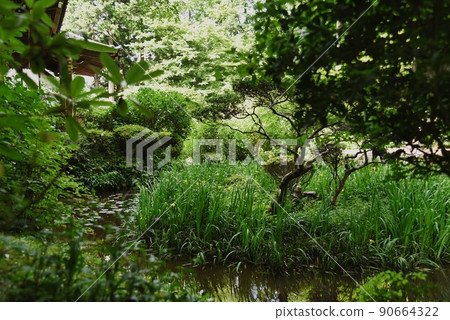 Gansenji Temple_Flowers and trees around the pond Gansenji Temple_Flowers and trees around the pond 90664322