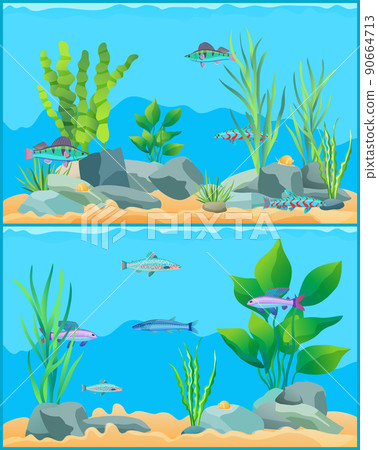 Colorful Cartoon Aquarium Fishes Set Promo Poster Colorful Cartoon Aquarium Fishes Set Promo Poster 90664713