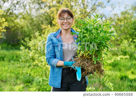 Beautiful middle aged woman with rooted phlox paniculata plant looking at camera 90665088