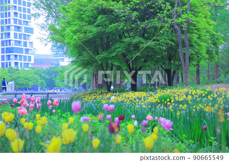Seoul Forest Spring Flower Seoul Forest Spring Flower 90665549