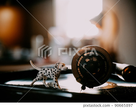 Records and dog figures Records and dog figures 90665897