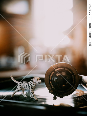 Records and dog figures 90665898