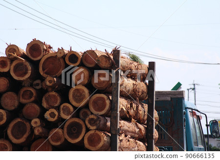Logs carried by truck Logs carried by truck 90666135