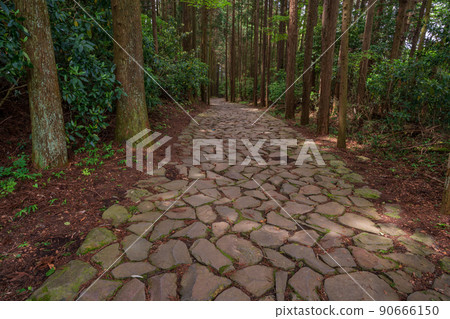 (Shizuoka Prefecture) Hakone old highway stone cobbles near the Yamanaka castle ridge 90666150