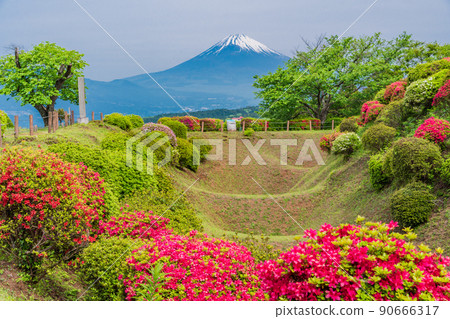 (Shizuoka Prefecture) Yamanaka Castle Ruins Park where azaleas bloom, Mt. Fuji behind 90666317