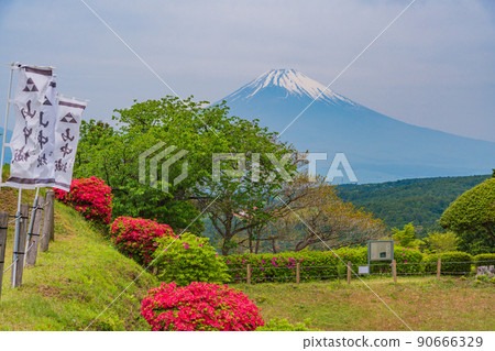 (Shizuoka Prefecture) Yamanaka Castle Ruins Park where azaleas bloom, Mt. Fuji behind 90666329