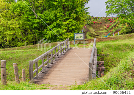 (Shizuoka Prefecture) Azalea blooming Yamanaka Castle Ruins Park Bridge (Shizuoka Prefecture) Azalea blooming Yamanaka Castle Ruins Park Bridge 90666431