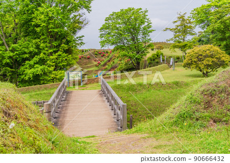 (Shizuoka Prefecture) Azalea blooming Yamanaka Castle Ruins Park Bridge (Shizuoka Prefecture) Azalea blooming Yamanaka Castle Ruins Park Bridge 90666432