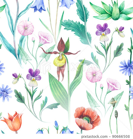 Seamless watercolor floral pattern with wild field and meadow plants.  90666508