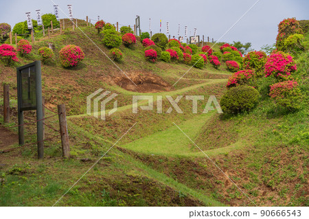 (Shizuoka Prefecture) Yamanaka Castle Ruins Park where azaleas bloom Beautiful moat 90666543