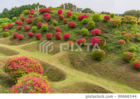(Shizuoka Prefecture) Yamanaka Castle Ruins Park where azaleas bloom Beautiful moat (Shizuoka Prefecture) Yamanaka Castle Ruins Park where azaleas bloom Beautiful moat 90666544