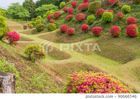 (靜岡縣)杜鵑花盛開的山中城跡公園 美麗的護城河 (靜岡縣)杜鵑花盛開的山中城跡公園 美麗的護城河 90666546