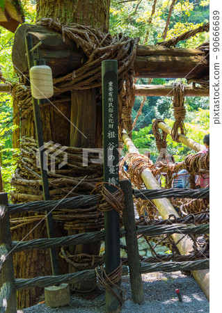 Tokushima Kazura Bridge Tokushima Kazura Bridge 90666689