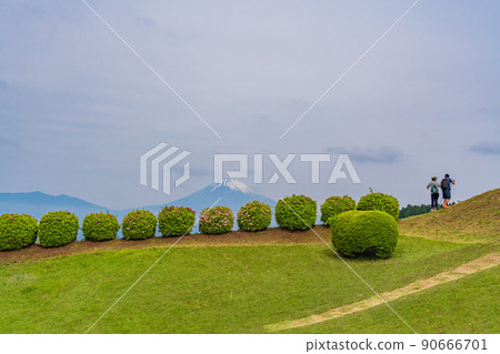 (靜岡縣)山中城跡公園,背後有美麗的新鮮綠色富士山 (靜岡縣)山中城跡公園,背後有美麗的新鮮綠色富士山 90666701