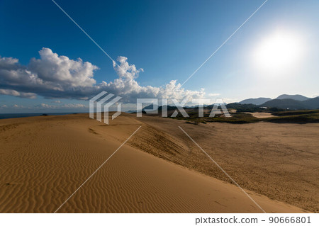 鳥取沙丘 90666801