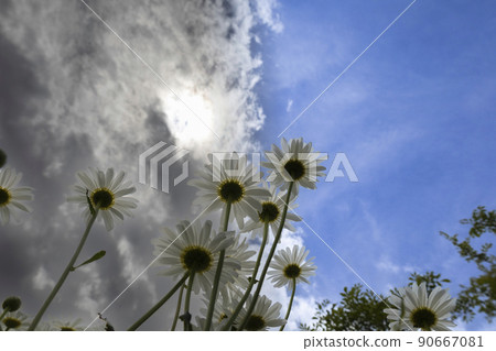 At the border between sunny and cloudy At the border between sunny and cloudy 90667081