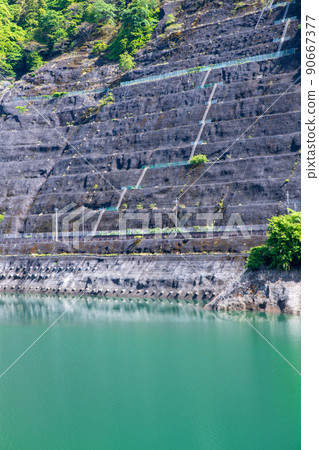 坡 有馬大壩 Naguri湖 湖畔 春天 清新的綠色風景 坡 有馬大壩 Naguri湖 湖畔 春天 清新的綠色風景 90667377