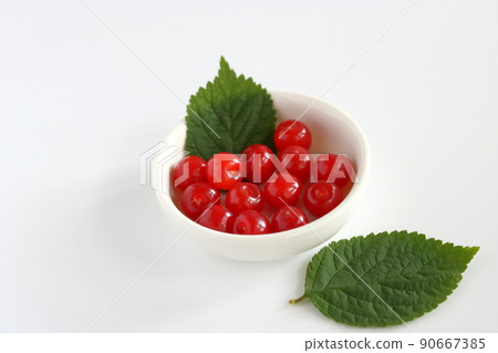 Prunus tomentosa, plum peach, red fruit 90667385