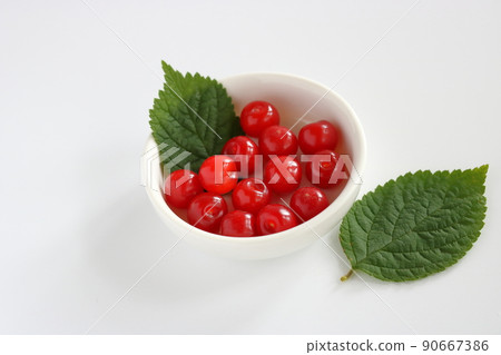 Prunus tomentosa, plum peach, red fruit 90667386