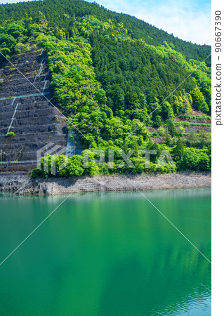 Slope Arima Dam Naguri Lake Lakeside Spring Fresh green scenery 90667390