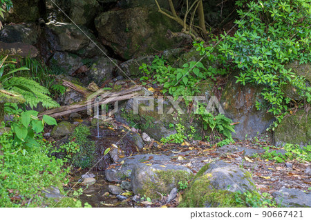 有馬泉水，名栗湖，湖邊，春季 90667421