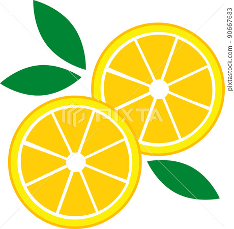帶葉子的橙子橫截面 帶葉子的橙子橫截面 90667683