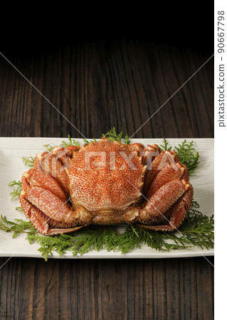 Boiled horsehair crab from the sea near Hokkaido (Okhotsk) Boiled horsehair crab from the sea near Hokkaido (Okhotsk) 90667798