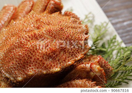 Boiled horsehair crab from the sea near Hokkaido (Okhotsk) Boiled horsehair crab from the sea near Hokkaido (Okhotsk) 90667816