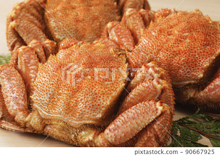 Large-sized boiled horsehair crab from the sea near Hokkaido 90667925