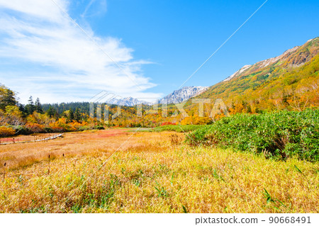 Tsugaike Nature Garden (Autumn) 90668491