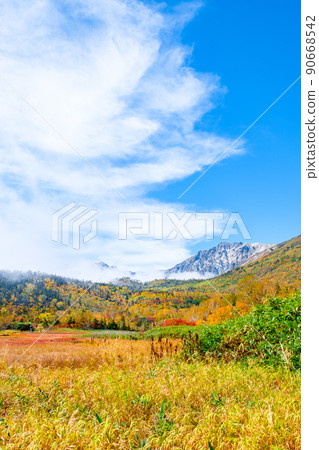 Tsugaike Nature Garden (Autumn) 90668542