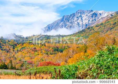 Tsugaike Nature Garden (Autumn) 90668543