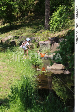 2021 A girl who comes to a clear stream with abundant greenery in a rural park in Hatoyama Town, Saitama Prefecture, which was selected as the happiest town in Japan, and catches fish with a net. 2021 A girl who comes to a clear stream with abundant greenery in a rural park in Hatoyama Town, Saitama Prefecture, which was selected as the happiest town in Japan, and catches fish with a net. 90668630