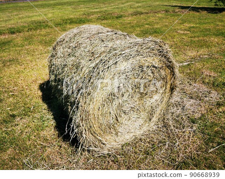 Cotton rolls Cotton rolls 90668939