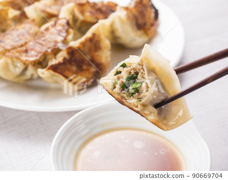 Handmade dumplings 90669704