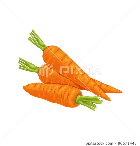 Carrot. Image of a ripe carrot. Vitamin vegetable. Organic food. Orange carrots. Vector illustration isolated on a white background Carrot. Image of a ripe carrot. Vitamin vegetable. Organic food. Orange carrots. Vector illustration isolated on a white background 90671445