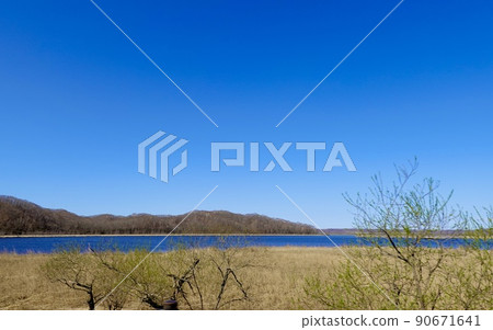 從國道391號北海道標茶町可以看到白鷺郎沼澤的風景北海道東部 從國道391號北海道標茶町可以看到白鷺郎沼澤的風景北海道東部 90671641