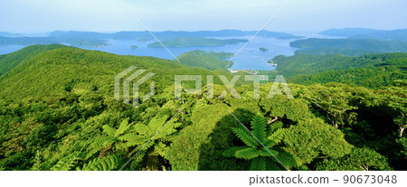 [Amami Oshima] Kochiyama Observatory (Wide) 90673048