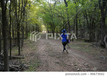 Strolling in San Antonio Park, Texas Strolling in San Antonio Park, Texas 90673682