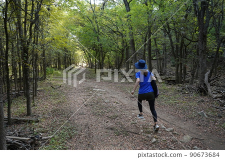 穿過德克薩斯州聖安東尼奧公園 90673684