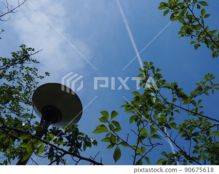 Street lights and blue sky Street lights and blue sky 90675618
