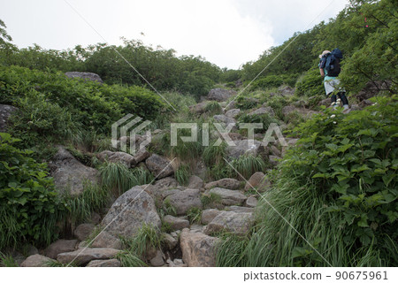 在長野縣富山縣,從白馬山到日本100座名山之一的白馬山的路線上,天狗原和乘鞍山之間的景色。 在長野縣富山縣,從白馬山到日本100座名山之一的白馬山的路線上,天狗原和乘鞍山之間的景色。 90675961