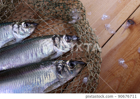 Herring on net 90676711
